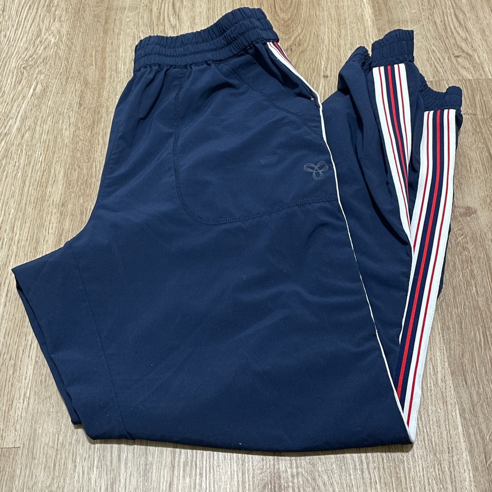 Aritzia TNA Navy Track Pants with Striped Sides